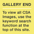 111111
&copy; CSA Images