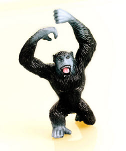 42335
&copy; CSA Images
