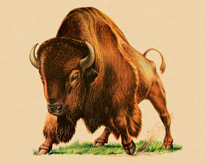 830174
&copy; CSA Images