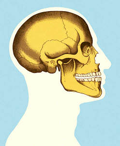 834160A
&copy; CSA Images